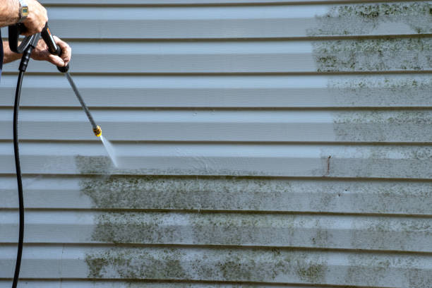 Professional Junk Removal in Mercer Island, WA