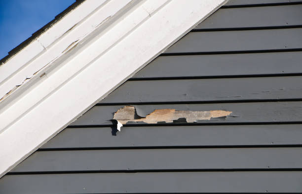 Best Property Management Cleanouts  in Mercer Island, WA